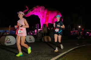 BIB: 
                            <button type="button" onclick="openModal(26534320)" class="btn btn-primary btn-sm float-right btn-popup" data-toggle="modal" data-target=".modal-high-quality">
                        <i class="fas fa-shopping-cart"></i> Add to Cart
                    </button>
                                            <button type="button" onclick="isThisMe(26534320, true)" class="btn btn-success btn-sm float-right btn-popup btn-isme hidden" data-toggle="tooltip" data-placement="bottom" title="นี่คือรูปของคุณใช่ไหม คลิกที่นี่เพื่อเอาเข้าอัลบั้ม">
                        <i class="fas fa-plus"></i> Add to album
                    </button>
                    <button type="button" onclick="isThisMe(26534320, false)" class="btn btn-warning btn-sm float-right btn-popup btn-isnotme hidden">
                        <i class="fas fa-ban"></i> Remove from album
                    </button>